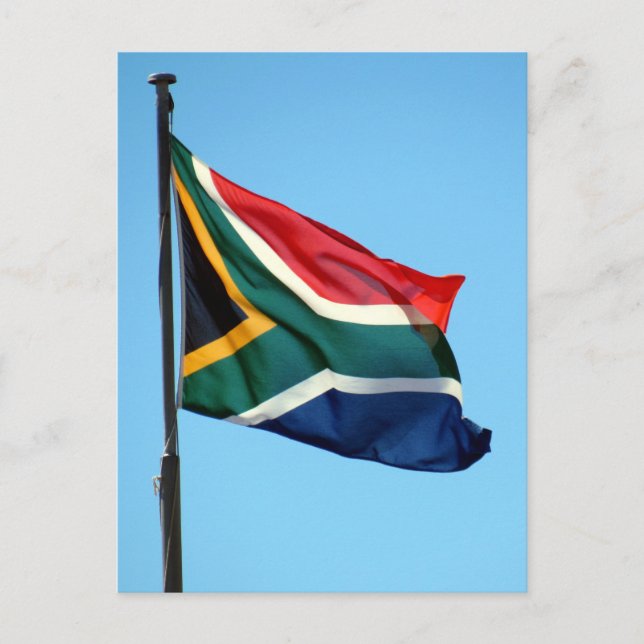 south african flag postcard (Front)