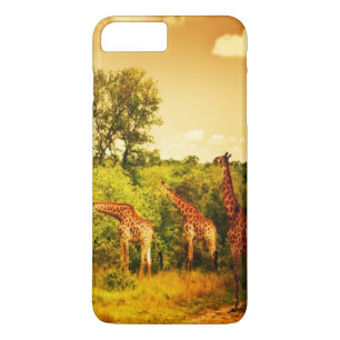 South African giraffes Case-Mate iPhone Case
