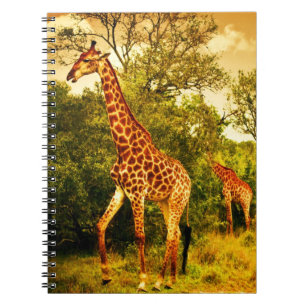 South African giraffes Spiral Notebook