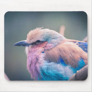 South African Lilac-Breasted Roller Mouse Pad