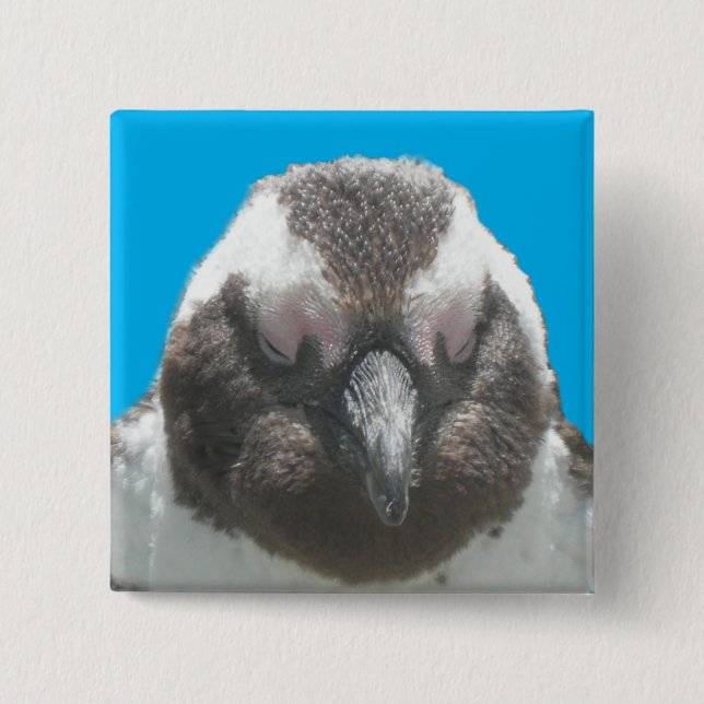 South African Penguin Face Button (Front)