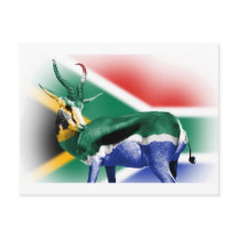 South African Springbock Flag