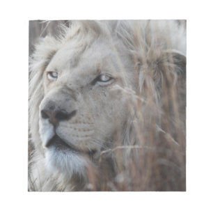 South African White Lion close up Notepad