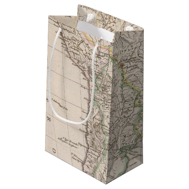South America 9 Small Gift Bag (Back Angled)