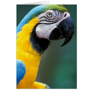 South America, Brazil, Iguacu Natioanl Park,