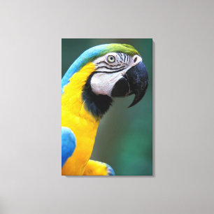 South America, Brazil, Iguacu Natioanl Park, Canvas Print