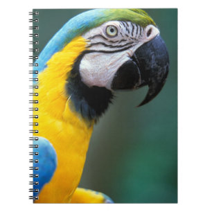 South America, Brazil, Iguacu Natioanl Park, Spiral Notebook