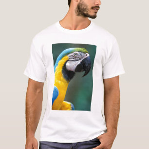 South America, Brazil, Iguacu Natioanl Park, T-Shirt