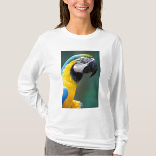 South America, Brazil, Iguacu Natioanl Park, T-Shirt