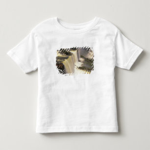 South America, Brazil, Igwacu Falls, Igwazu Toddler T-Shirt