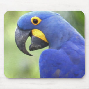 South America, Brazil, Pantanal Mouse Pad