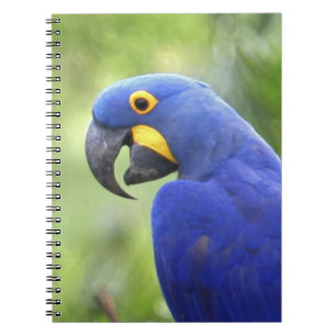 South America, Brazil, Pantanal Spiral Notebook