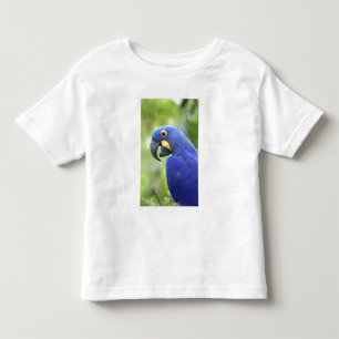South America, Brazil, Pantanal Toddler T-Shirt