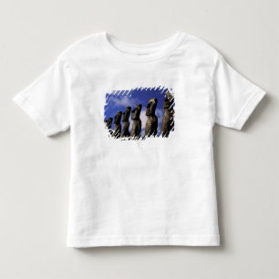 South America, Chile, Easter Island, Ahu Akiri. Toddler T-Shirt