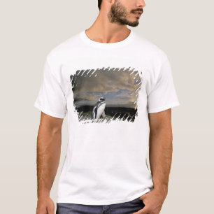 South America, Chile, Patagonia, Magellanes, T-Shirt