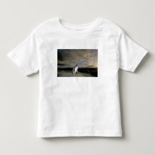 South America, Chile, Patagonia, Magellanes, Toddler T-Shirt