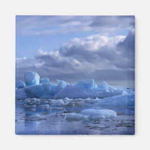 South America, Chile, San Rafael Lagoon NP. Magnet