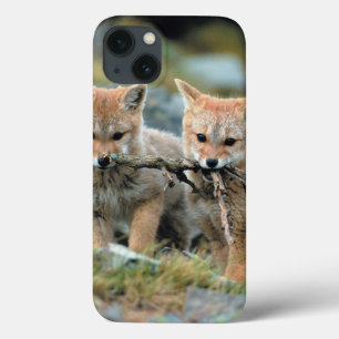South America, Chile, Torres del Paine National iPhone 13 Case