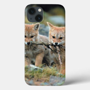 South America, Chile, Torres del Paine National iPhone 13 Case