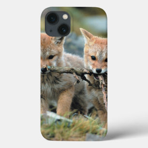 South America, Chile, Torres del Paine National iPhone 13 Case