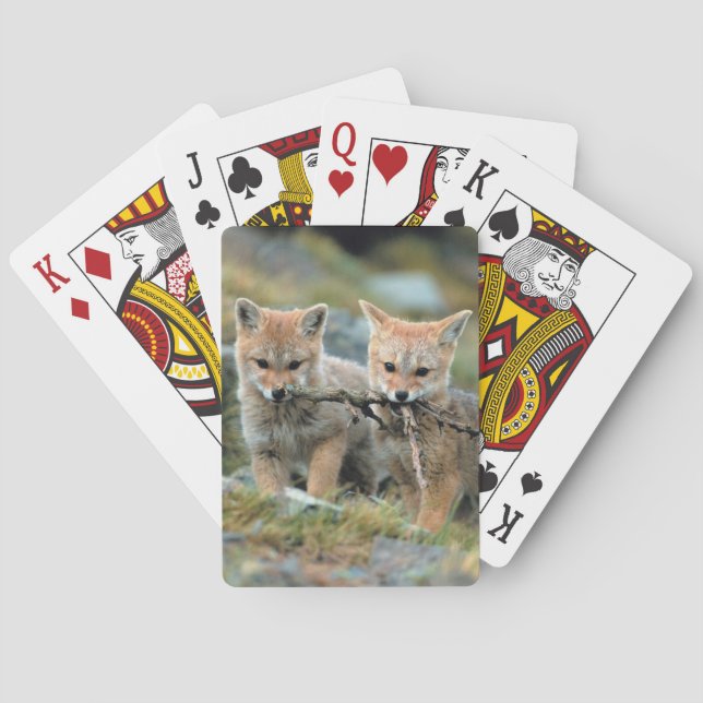 South America, Chile, Torres del Paine National Playing Cards (Back)