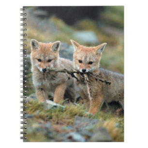 South America, Chile, Torres del Paine National Spiral Notebook