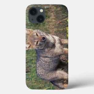 South America, Chile, Torres del Paine NP, iPhone 13 Case