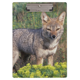 South America, Chile, Torres del Paine NP, Clipboard