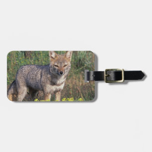 South America, Chile, Torres del Paine NP, Luggage Tag