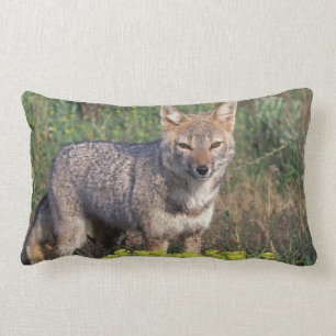 South America, Chile, Torres del Paine NP, Lumbar Cushion