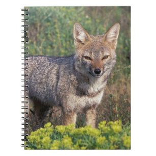 South America, Chile, Torres del Paine NP, Spiral Notebook