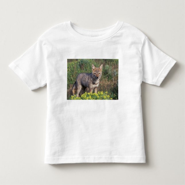 South America, Chile, Torres del Paine NP, Toddler T-Shirt (Front)