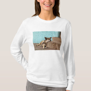 South America, Chile, Valparaiso. German T-Shirt