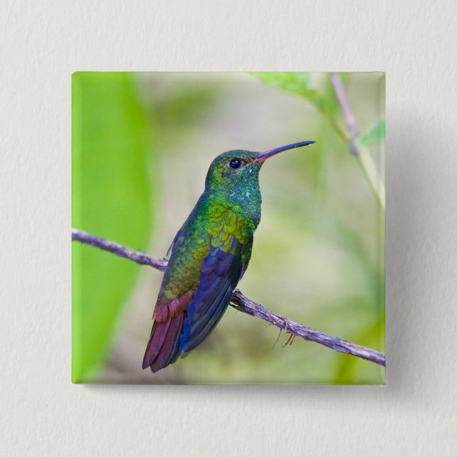 South America, Costa Rica, Sarapiqui, La Selva 15 Cm Square Badge (Front)