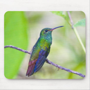 South America, Costa Rica, Sarapiqui, La Selva Mouse Pad