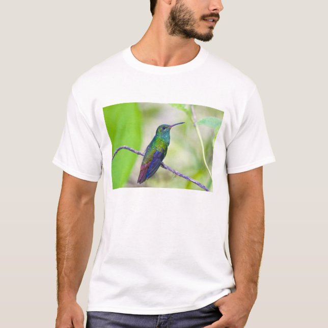 South America, Costa Rica, Sarapiqui, La Selva T-Shirt (Front)