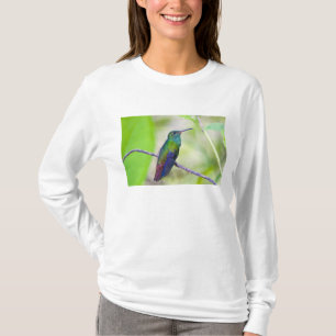 South America, Costa Rica, Sarapiqui, La Selva T-Shirt