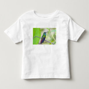 South America, Costa Rica, Sarapiqui, La Selva Toddler T-Shirt