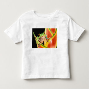 South America, Ecuador, Amazon. Tree frog Toddler T-Shirt