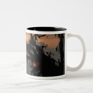 South America, Ecuador, cloud forest scene in Two-Tone Coffee Mug