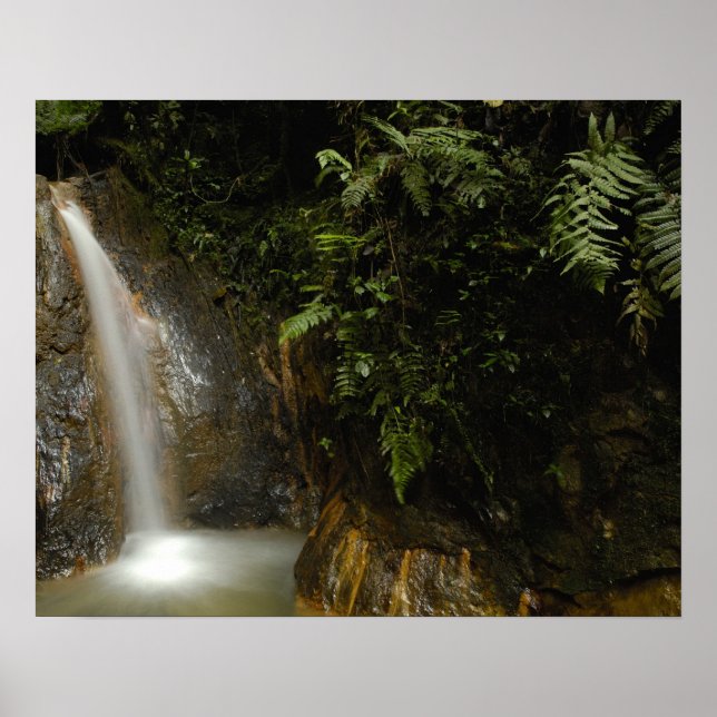 South America, Ecuador, eastern slope of the Poster (Front)