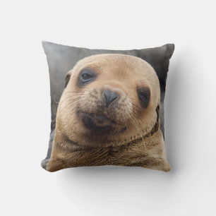 South America, Ecuador, Galapagos Islands Cushion