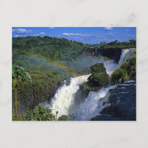 South America; Latin America; Argentina; Brazil; Postcard