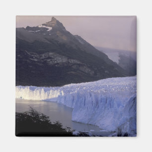 South America, Patagonia, Argentina Parque Magnet