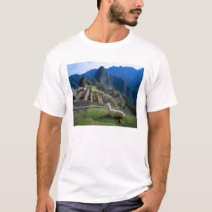 South America, Peru. A llama rests on a hill T-Shirt
