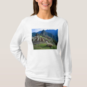 South America, Peru. A llama rests on a hill T-Shirt