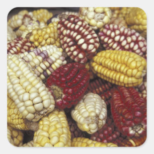 South America, Peru Corn, Maize Square Sticker