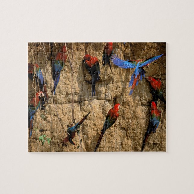 South America, Peru, Manu National Park, Jigsaw Puzzle (Horizontal)