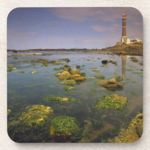 South America, Uruguay, Punta Jose Ignacio, Coaster