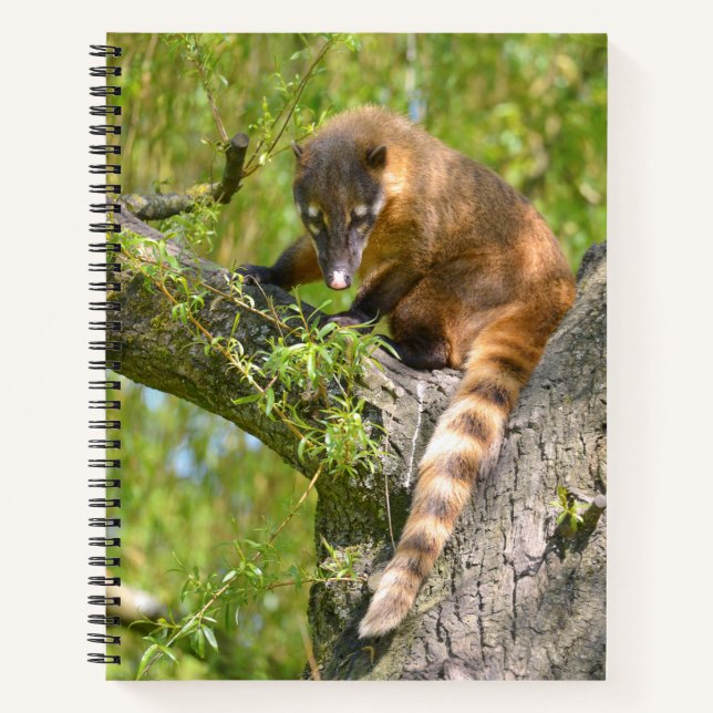 South American Coati on branch Notebook (Front)